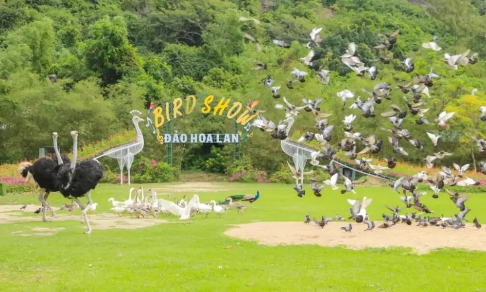 VÉ ĐẢO HOA LAN NHA TRANG