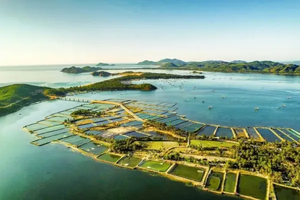 Tour Phú Yên - Bãi Xép 1 ngày